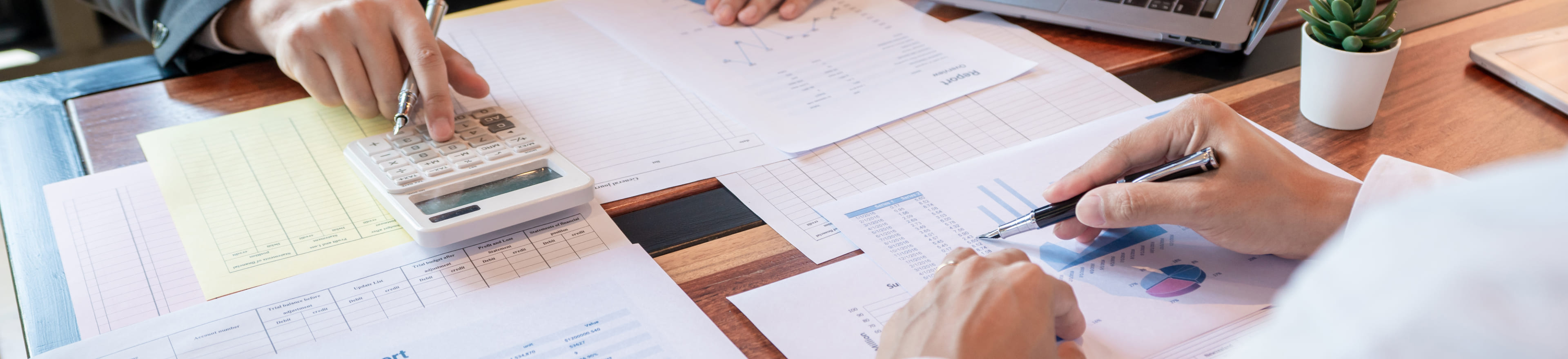 Bannière Auditeur comptable